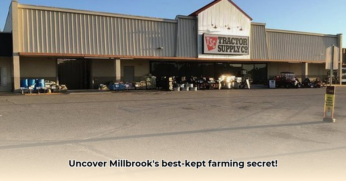 tractor-supply-millbrook-al
